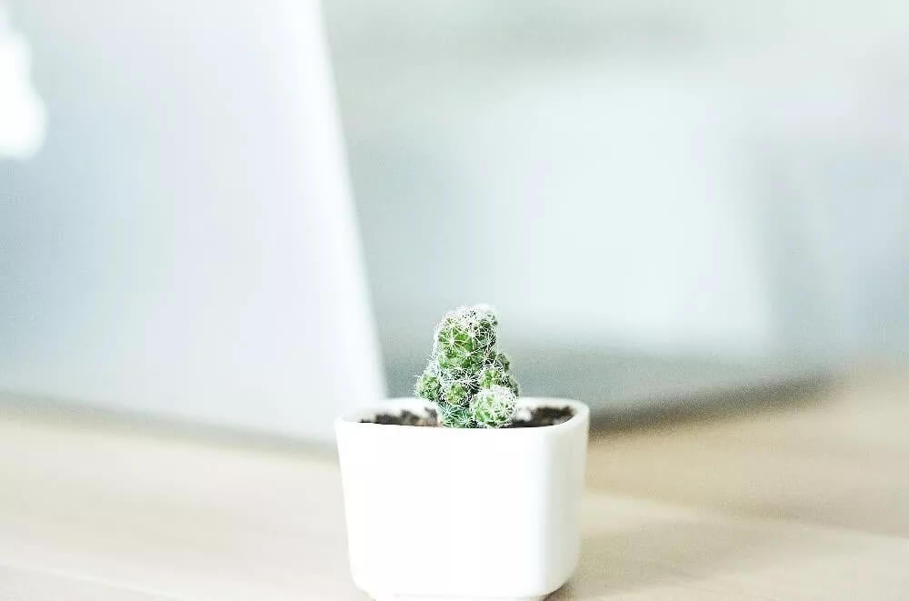 �P(gu��n)��·�������@Щ���{�ԡ�,�����ˆ᣿