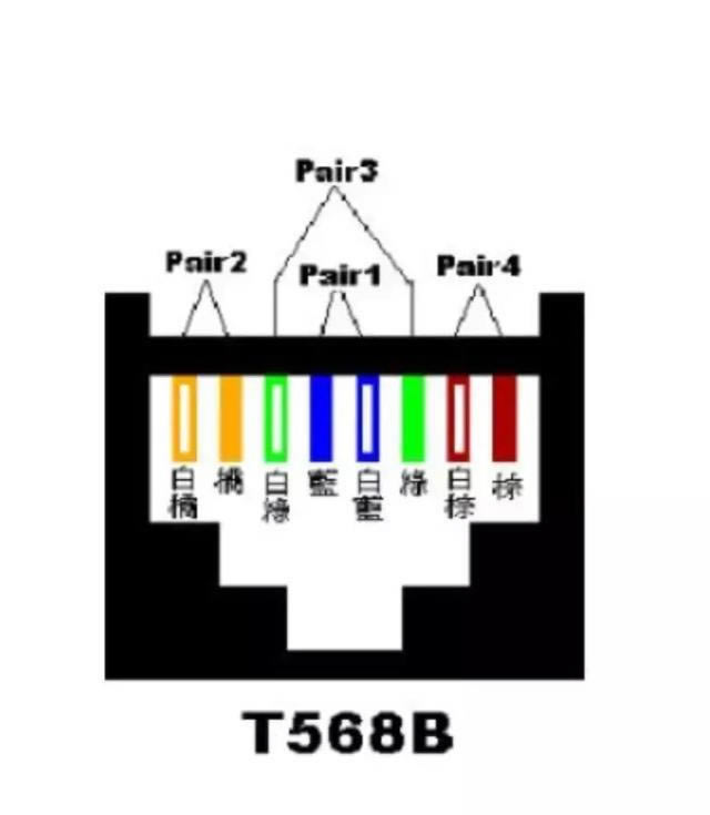 һ���W�����x�񣺾W�����e�������I�ٺõ�·�������]��