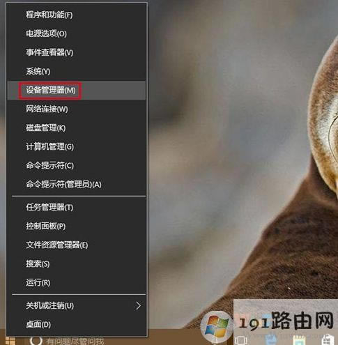 �O�������