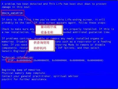 ��X�{������