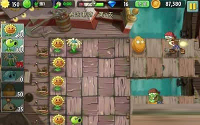 對植物數(shù)量有規(guī)定