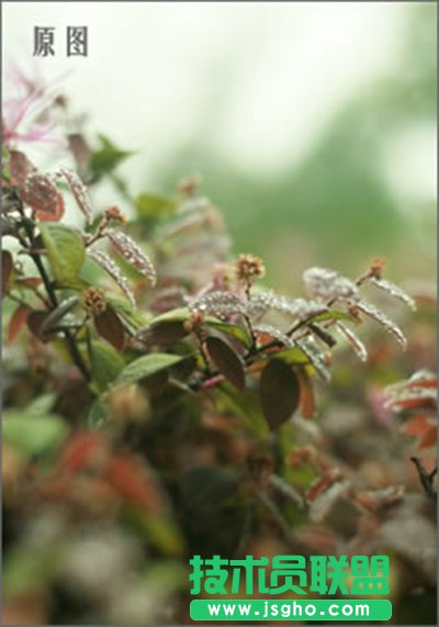 ��Ӱ��ô������������Ч��   ��