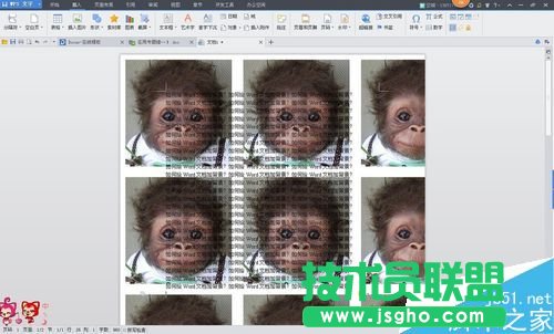 Word��θ�׃�����DƬ