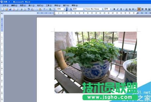 word�ęn��ô�ڈDƬ�ό���?