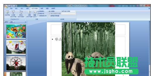 ppt中如何設(shè)置幻燈片定時(shí)循環(huán)播放