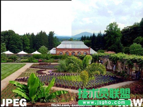 �D��JPEG�cRAW���x�÷��t ��