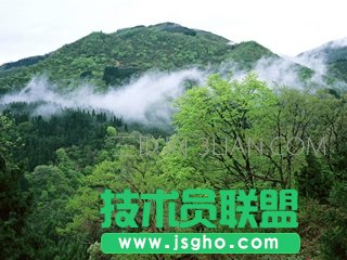 ������ΰ�ȫ�ϾW ��