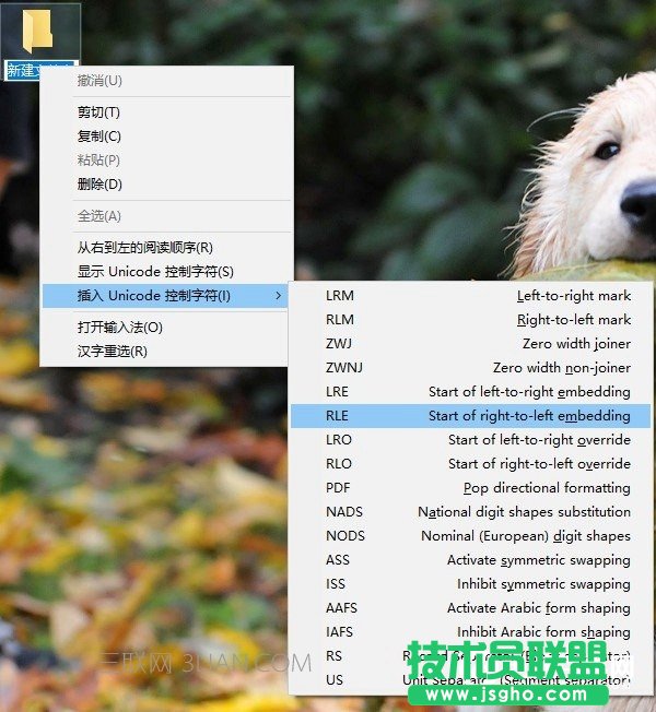 ��ô�[���ļ��A׌�e���Ҳ����������[����X�ļ�����