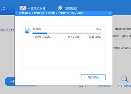 ����u�P����