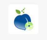 �������ӱP