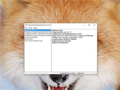 ����C�������