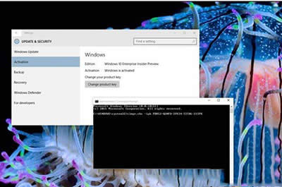 如何解決Win10系統(tǒng)10122無法激活問題