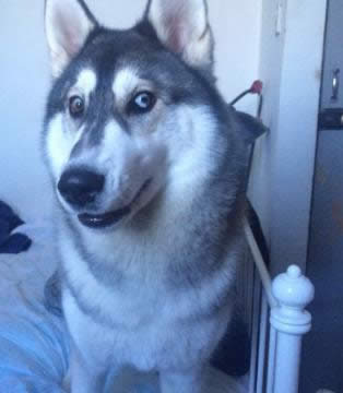 �p���@ʾ��