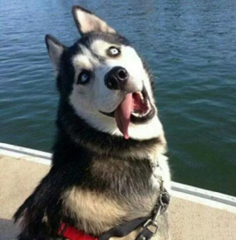 �Pӛ���P�C