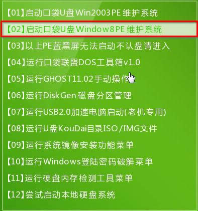 �D1 �ڴ�PE�x�����