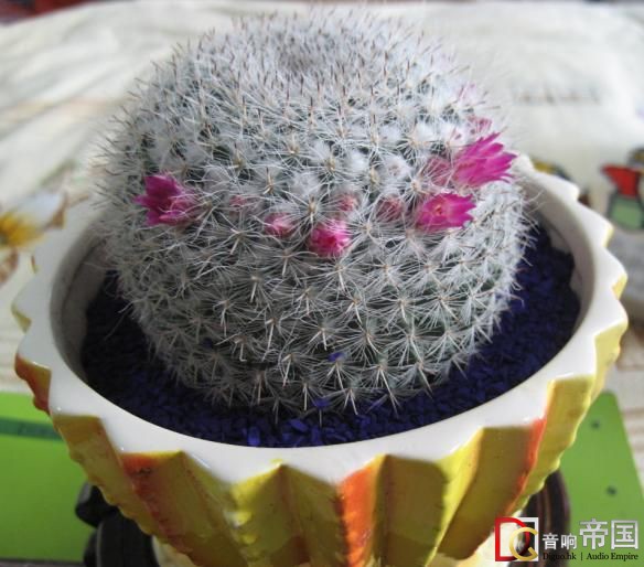 �ŷN��ֹ��Xϵ�y(t��ng)ݗ�䷽���̳�