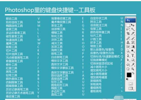 ps快捷鍵 ps快捷鍵