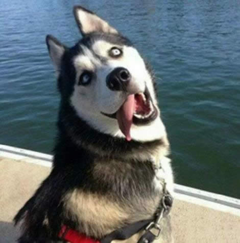 筆記本關(guān)機(jī) 筆記本關(guān)機(jī)