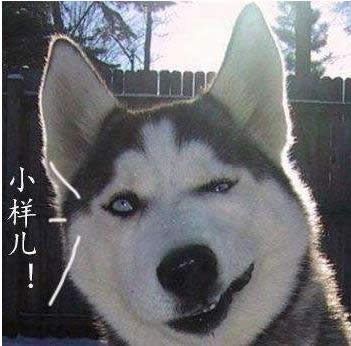 ����ʧ��