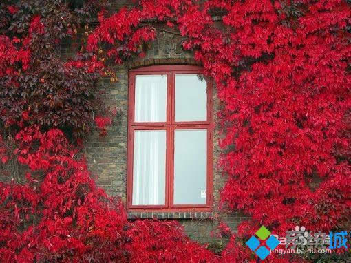 win8��ο����{���DƬ��С