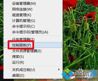 �x�񡰿�����塱