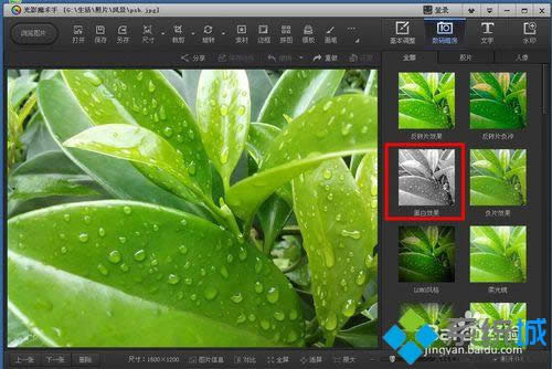 �ҵ����ڰ�Ч�����x�