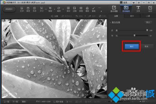 �c�����_����