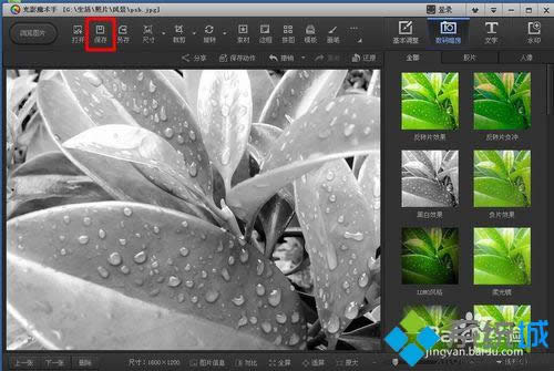 �c�������桱���o