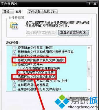 �c���_��