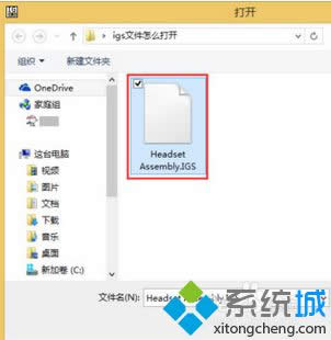 ���_��igs�ļ�