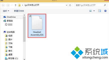���_��igs�ļ�