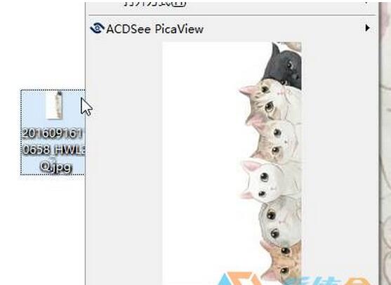 ���bACDSee PRO+2.jpg