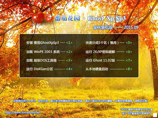 雨林木風(fēng) GHOST XP SP3 經(jīng)典旗艦版 V2016.11