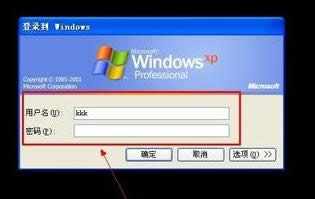 ���˰�ȫ��Ҋ��ô׌XPϵ�y(t��ng)ֻ�@ʾһ���~����